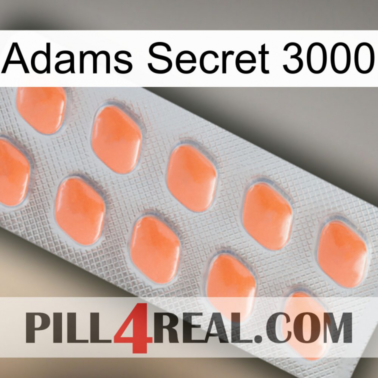 Adams Secret 3000 26